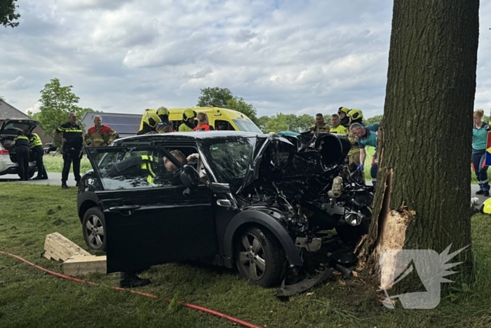 Bestuurder op slag dood na crash tegen boom
