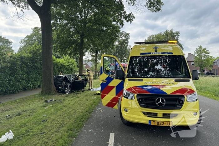 Bestuurder op slag dood na crash tegen boom