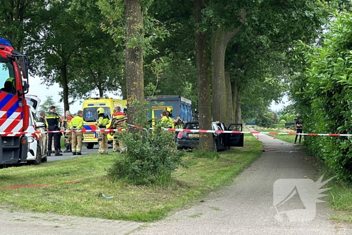 Bestuurder op slag dood na crash tegen boom