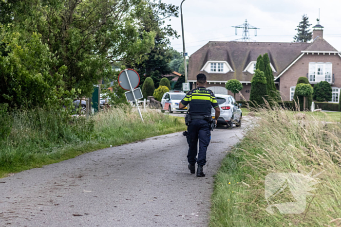 Grote zoektocht naar ontsnapte Serval