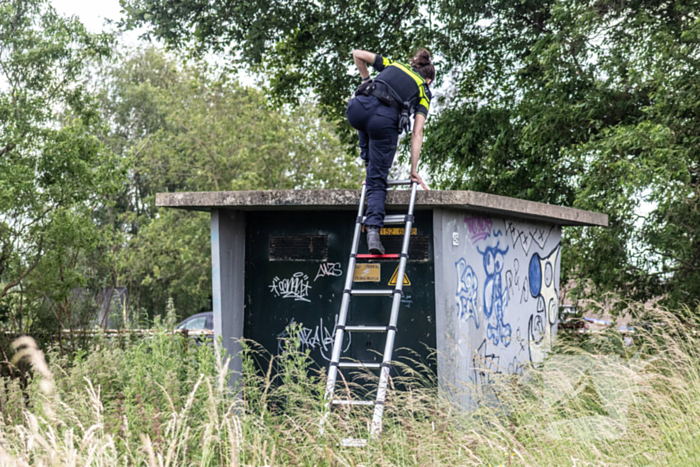 Grote zoektocht naar ontsnapte Serval
