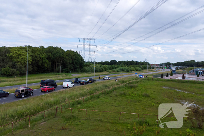 Grote zoektocht naar ontsnapte Serval