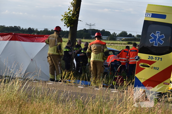 Automobilist botst tegen boom
