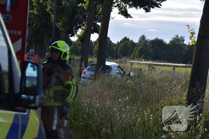 Automobilist botst tegen boom