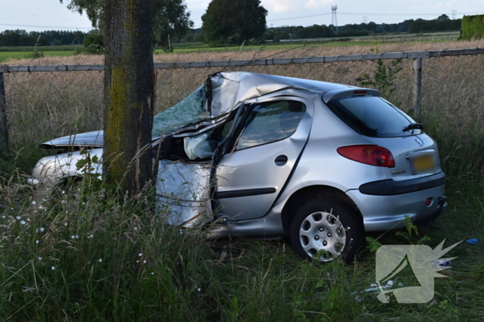 Automobilist botst tegen boom