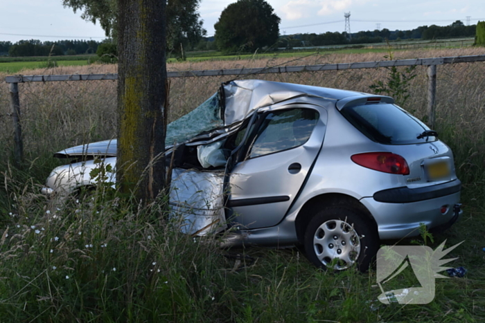 Automobilist botst tegen boom