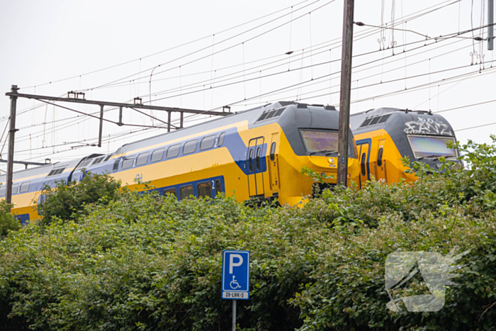 Treinverkeer plat door omgewaaide boom op bovenleiding