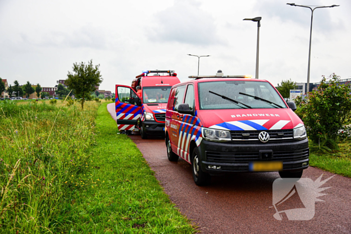 Duikers aanwezig voor kinderfiets naast sloot