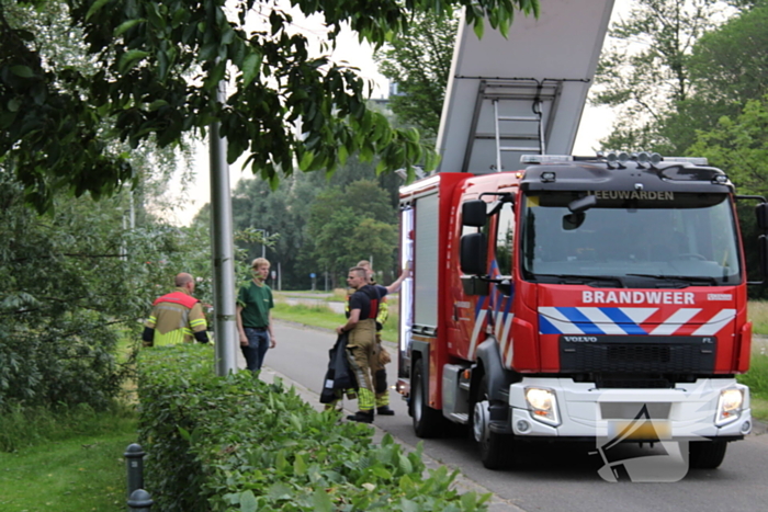 Brandweer aanwezig voor jong schaap in sloot