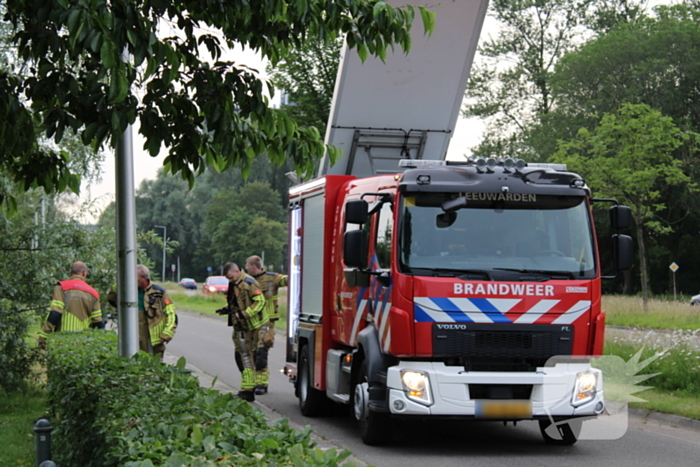 Brandweer aanwezig voor jong schaap in sloot