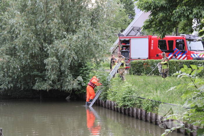 Brandweer aanwezig voor jong schaap in sloot