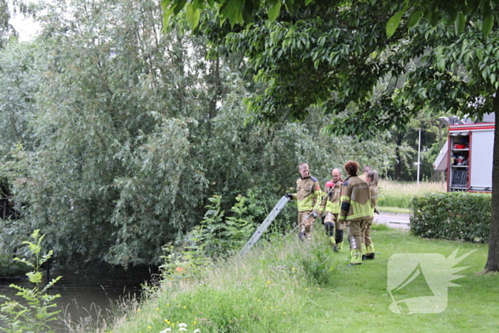 Brandweer aanwezig voor jong schaap in sloot
