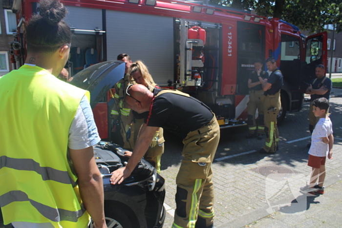 Brandweer bevrijdt vastzittende kat