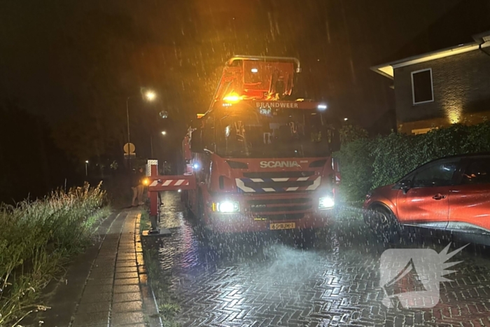 Brandweer haalt kat van dak