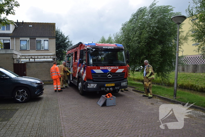 Brandweer verwijdert gevaarlijk hangende tak