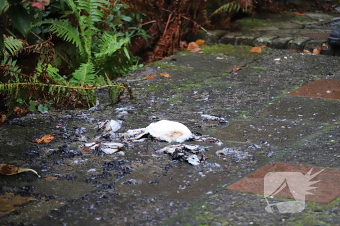 Rookontwikkeling in flat door brandende wc-rollen