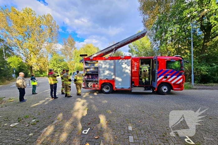 Brandweer assisteert dierenambulance bij kat in boom