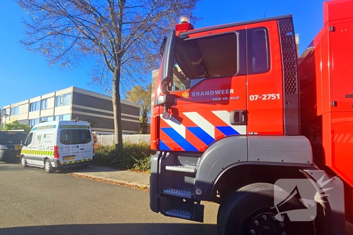 Poes Silvi door brandweer en dierenambulance gered uit boom