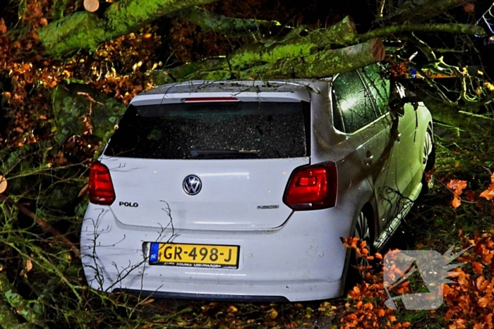 Auto bedolven onder boom, brandweer staakt zaagwerkzaamheden