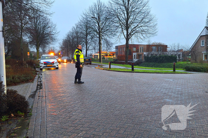 Automobilist botst tegen boom