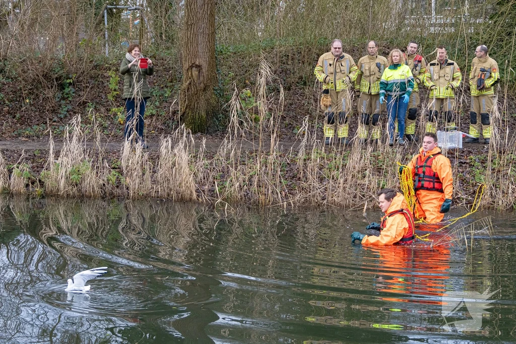 Vecht Nieuws Huizen 