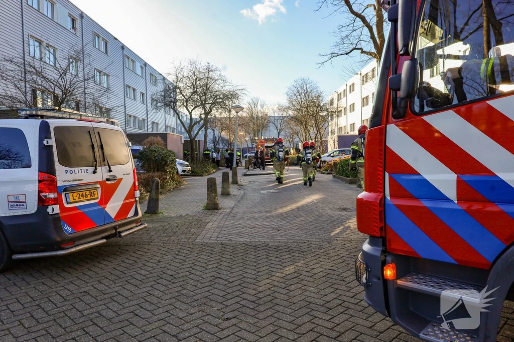 Staghof Nieuws Amsterdam 