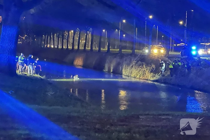 schietincident elritsstraat hoogvliet rotterdam