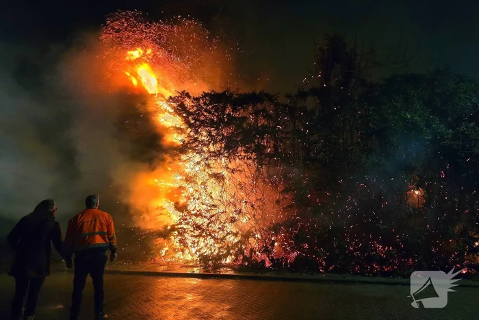 Brandende coniferen haag met tuinslangen geblust