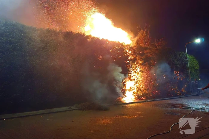 Brandende coniferen haag met tuinslangen geblust
