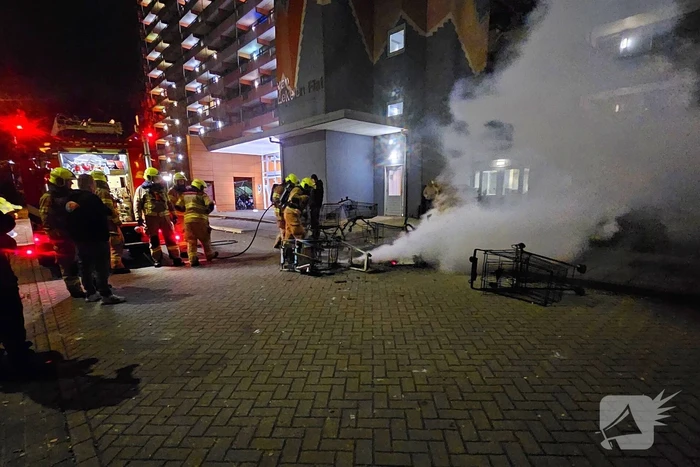 Meerdere winkelwagens in brand gestoken