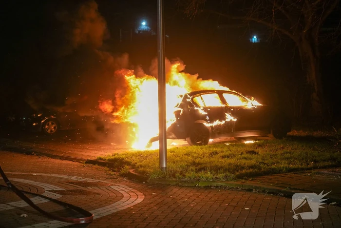 brand ranonkelplantsoen gouda