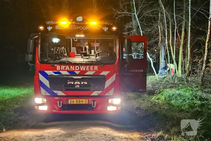 Brandweer zaagt brandende, dode boom om