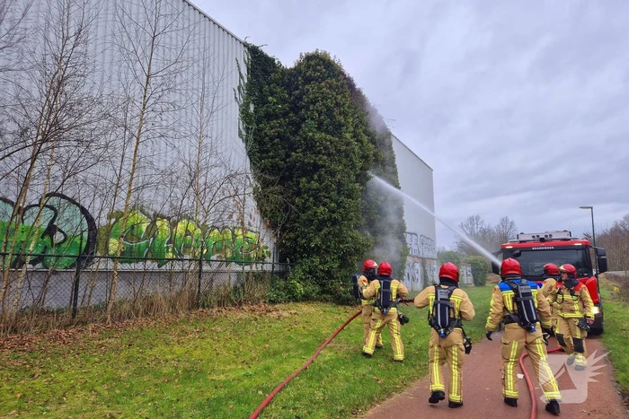 Begroeiing tegen pand in brand