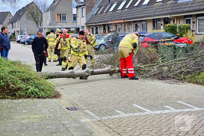 Doorgang woonwijk geblokkeerd door omgewaaide boom