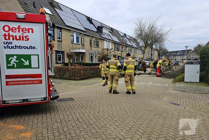 Doorgang woonwijk geblokkeerd door omgewaaide boom
