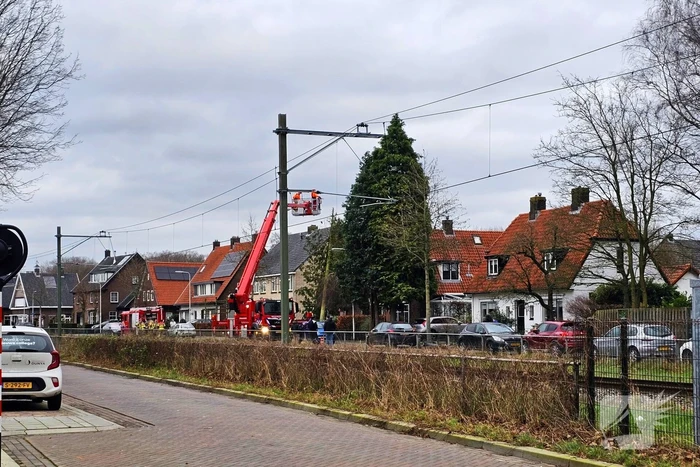 Boom valt tegen woning door harde wind