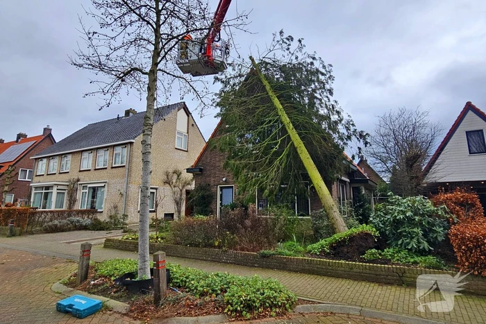 natuur tielkemeijerweg ede