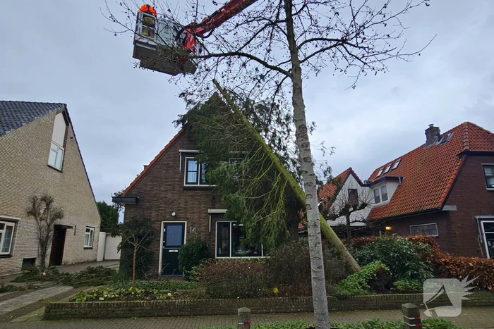 Boom valt tegen woning door harde wind