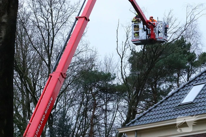 Boom dreigt op woning te vallen