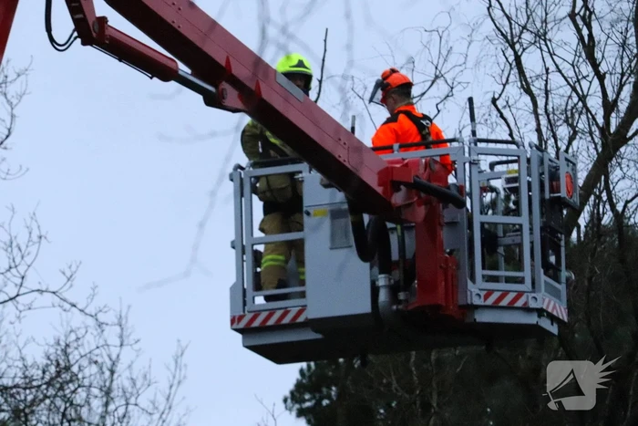 Boom dreigt op woning te vallen