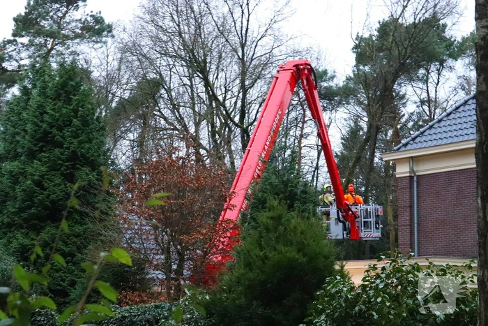 Boom dreigt op woning te vallen