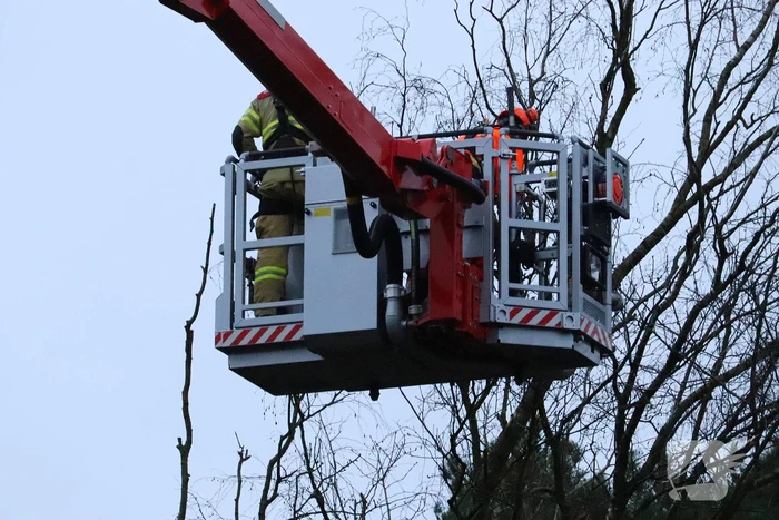 Boom dreigt op woning te vallen