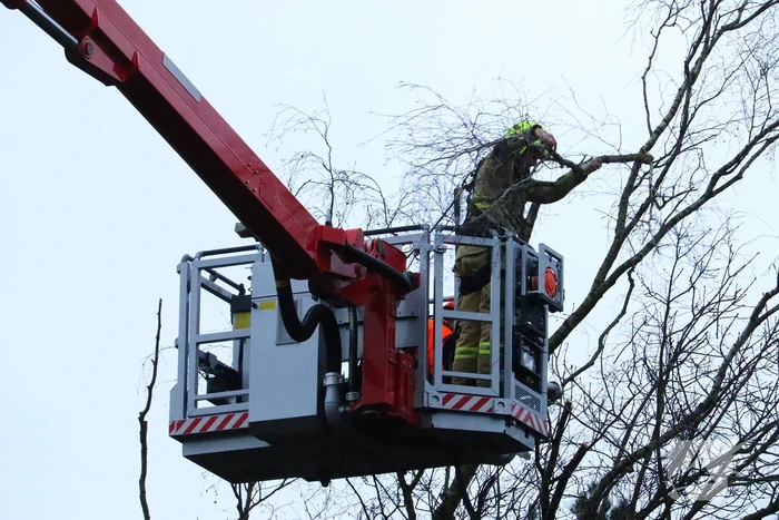 Boom dreigt op woning te vallen