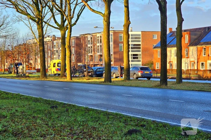 Auto loopt forse schade op na botsing met boom