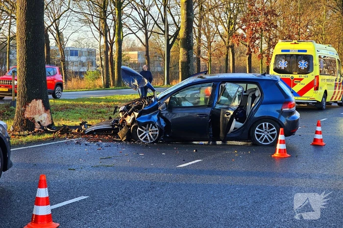 Auto loopt forse schade op na botsing met boom