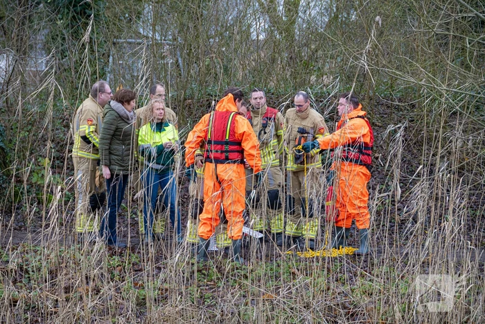 Brandweer bevrijdt vastzittende meeuw