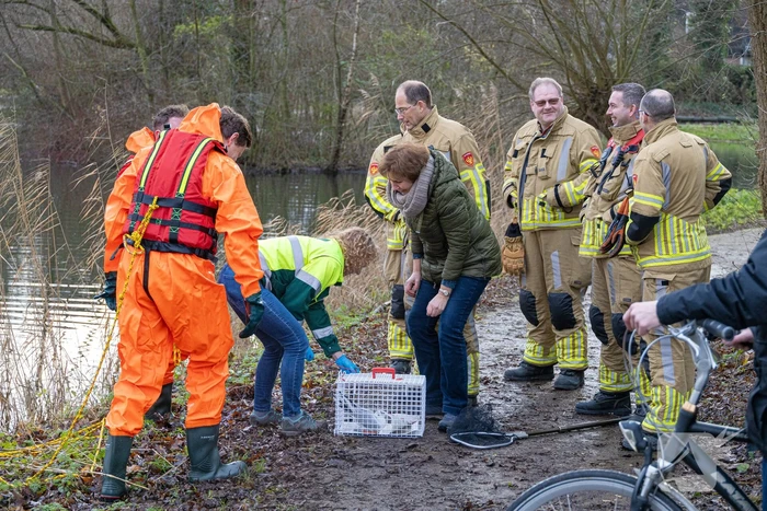 Brandweer bevrijdt vastzittende meeuw