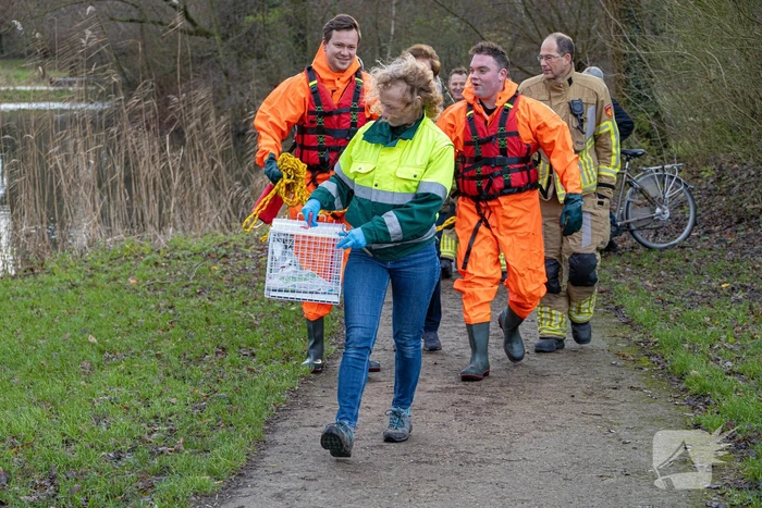 Brandweer bevrijdt vastzittende meeuw
