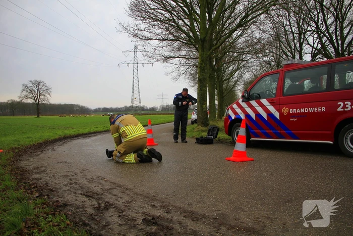 Grote brand in stal