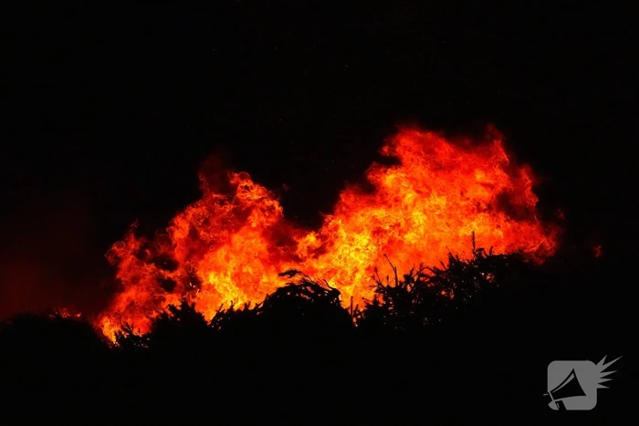 Kerstboom verbranding door brandweer